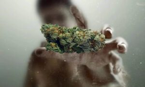 A zombie in the distant background reaches for a nug of Zombie Kush in the foreground