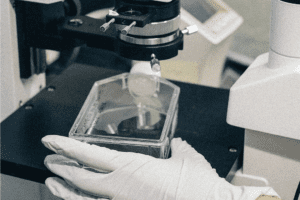 A rubber-gloved hand holds a petri dish full of bacteria under a microscope.