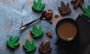 Cannabis and chocolate swith flavonoid quercetin