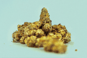 Some yellow weed strain placed on a light-colored surface