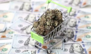How to buy delta 8