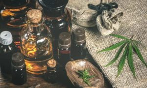 Making your own CBN oil