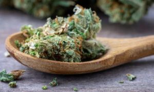 CBD flower