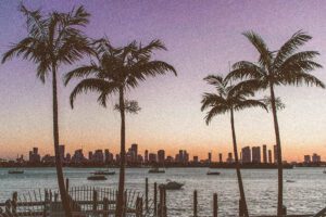 Sunset in Miami beach with palm trees and buildings on the both sides of the sea banks and running boats on the sea