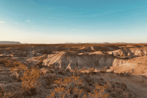 Vast desert landscape with distant mountains, desert plants, and a clear blue sky, showcasing the beauty of arid nature