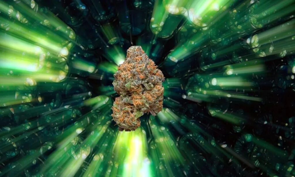 Kryptonite Strain Review