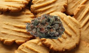 Peanut Butter Mints strain bud