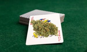 Sour Joker strain bud