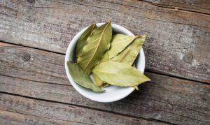 Bay leaves full of Geranyl Acetate