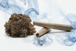 A cannabis flower, accompanied with two cannabis joints, placed on a white surface